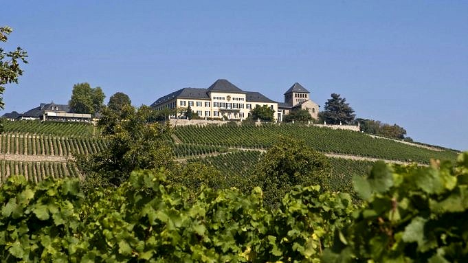 6 älteste Weingüter Der Welt