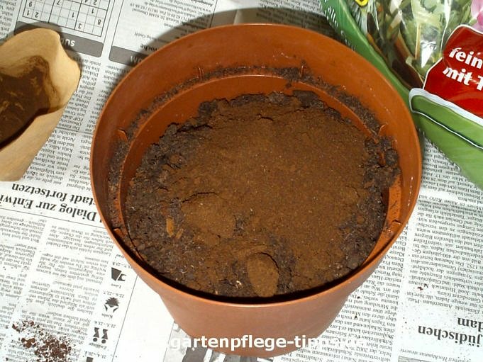 Sind Kaffeefilter Kompostierbar? Wie Sagt Man?